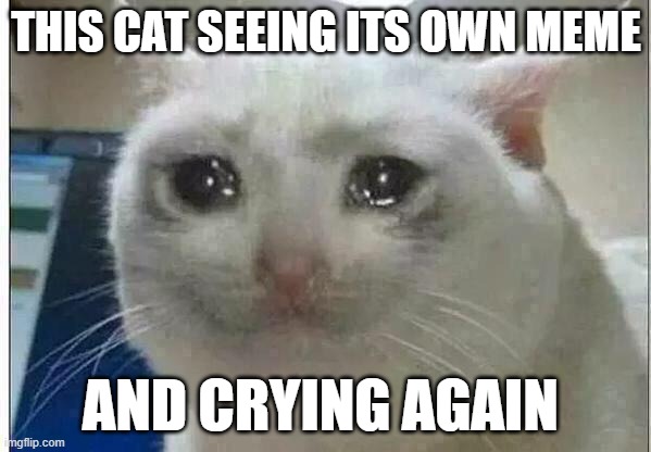 it sometimes happens | THIS CAT SEEING ITS OWN MEME; AND CRYING AGAIN | image tagged in crying cat | made w/ Imgflip meme maker