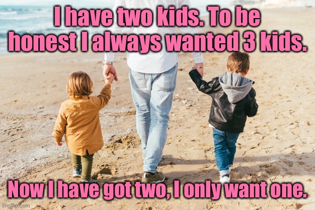 I have two kids | I have two kids. To be honest I always wanted 3 kids. Now I have got two, I only want one. | image tagged in father and kids,have two kids,always wanted three,now had two,only want one,dark humour | made w/ Imgflip meme maker