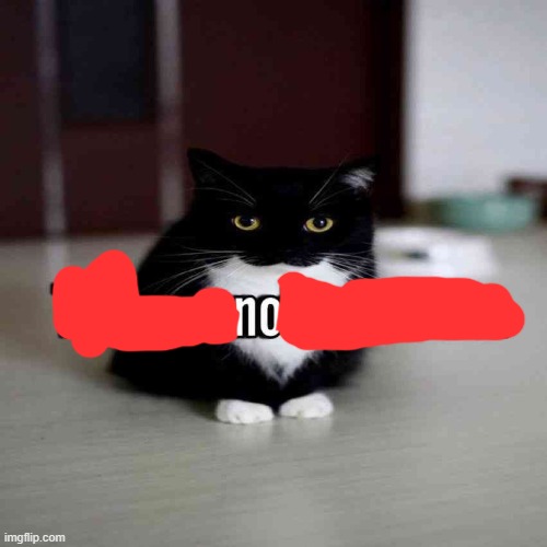 maxwell disapproves | image tagged in maxwell disapproves | made w/ Imgflip meme maker