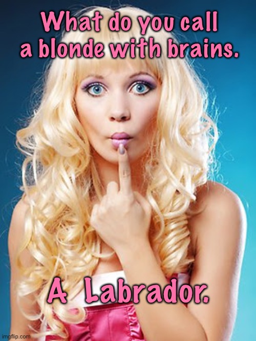 Blonde with brains | What do you call a blonde with brains. A  Labrador. | image tagged in dumb blonde,blonde with brains,is called,a labrador,dog,fun | made w/ Imgflip meme maker