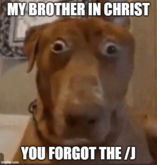 Surprised Dog | MY BROTHER IN CHRIST YOU FORGOT THE /J | image tagged in surprised dog | made w/ Imgflip meme maker