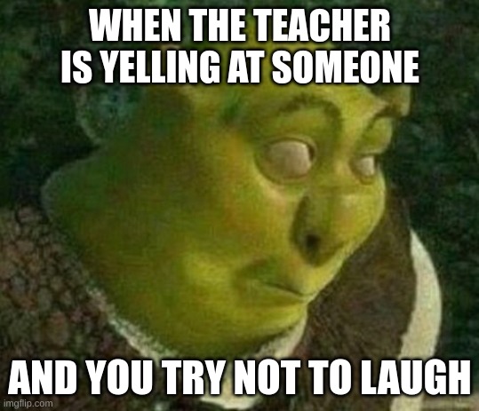 this happend to me today.. but i couldn't hold the laugh in! i just let it out.. you dont wanna know what happend to me after th | WHEN THE TEACHER IS YELLING AT SOMEONE; AND YOU TRY NOT TO LAUGH | image tagged in oops shrek | made w/ Imgflip meme maker
