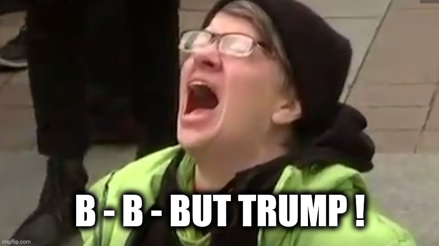 Screaming Liberal  | B - B - BUT TRUMP ! | image tagged in screaming liberal | made w/ Imgflip meme maker