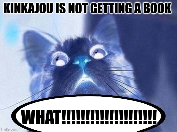 Scared Cat | KINKAJOU IS NOT GETTING A BOOK; WHAT!!!!!!!!!!!!!!!!!!!! | image tagged in memes,scared cat | made w/ Imgflip meme maker