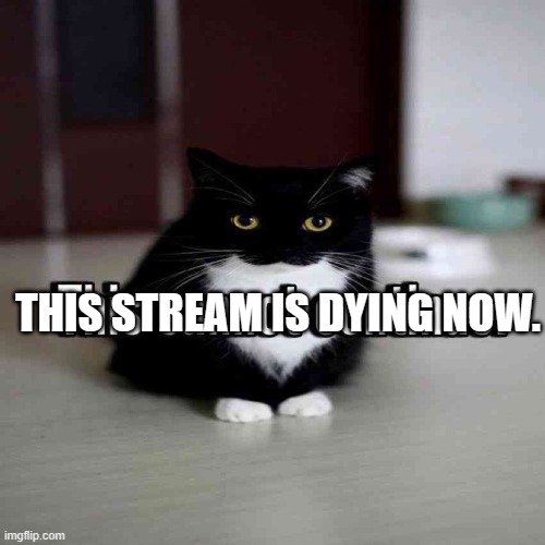 maxwell disapproves | THIS STREAM IS DYING NOW. | image tagged in maxwell disapproves | made w/ Imgflip meme maker