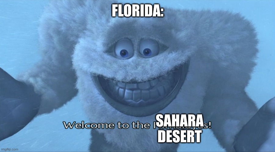 Welcome to the himalayas | FLORIDA: SAHARA DESERT | image tagged in welcome to the himalayas | made w/ Imgflip meme maker