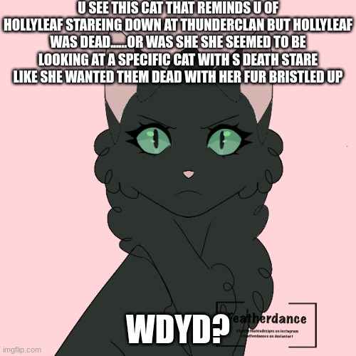 omg its been so long sense ive posted btw no romance and erp- | U SEE THIS CAT THAT REMINDS U OF HOLLYLEAF STAREING DOWN AT THUNDERCLAN BUT HOLLYLEAF WAS DEAD......OR WAS SHE SHE SEEMED TO BE LOOKING AT A SPECIFIC CAT WITH S DEATH STARE  LIKE SHE WANTED THEM DEAD WITH HER FUR BRISTLED UP; WDYD? | made w/ Imgflip meme maker
