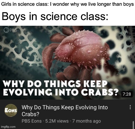 Good question | Girls in science class: I wonder why we live longer than boys; Boys in science class: | image tagged in science,girls vs boys,crabs | made w/ Imgflip meme maker