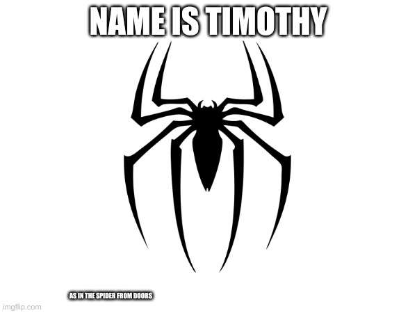 NAME IS TIMOTHY AS IN THE SPIDER FROM DOORS | made w/ Imgflip meme maker