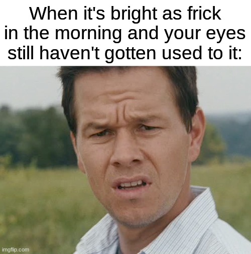 Huh  | When it's bright as frick in the morning and your eyes still haven't gotten used to it: | image tagged in memes,huh,funny,relatable,morning,too bright | made w/ Imgflip meme maker
