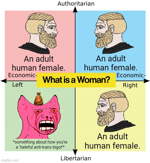 The same people who claim to defend women's rights can't even define what a woman is | An adult human female. An adult human female. An adult human female. *something about how you're a 'hateful anti-trans bigot'* | image tagged in political compass,gender confusion,liberal logic,triggered liberal | made w/ Imgflip meme maker