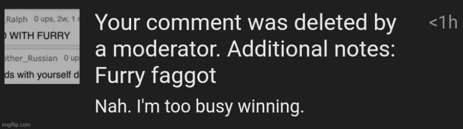 Anti Fur Is Homophobic lmao I won against them | made w/ Imgflip meme maker