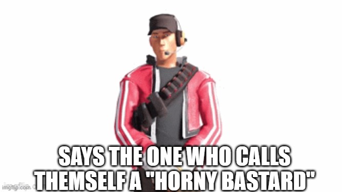 scout drip | SAYS THE ONE WHO CALLS THEMSELF A "HORNY BASTARD" | image tagged in scout drip | made w/ Imgflip meme maker