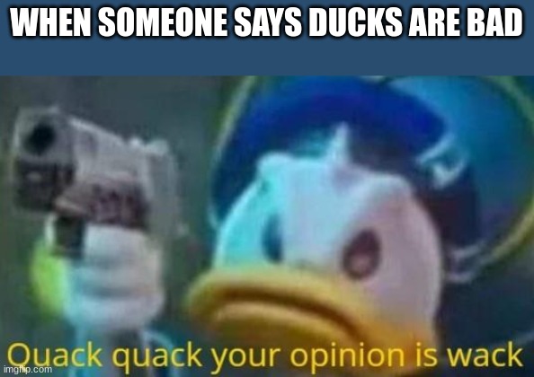yes | WHEN SOMEONE SAYS DUCKS ARE BAD | image tagged in quack quack your opinion is wack | made w/ Imgflip meme maker
