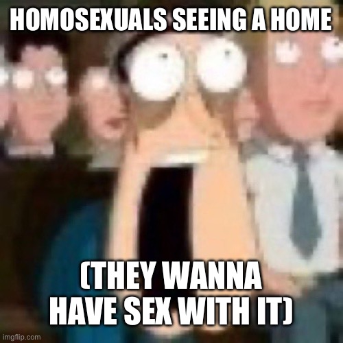 Quagmire gasp | HOMOSEXUALS SEEING A HOME (THEY WANNA HAVE SEX WITH IT) | image tagged in quagmire gasp | made w/ Imgflip meme maker