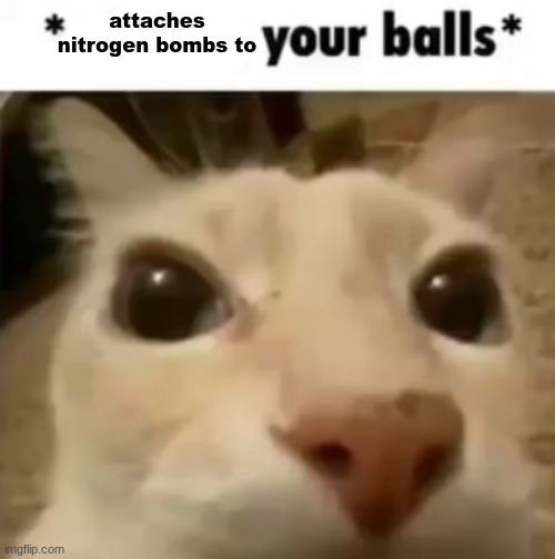 X your balls | attaches nitrogen bombs to | image tagged in x your balls | made w/ Imgflip meme maker