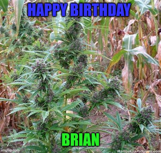 Saying Happy birthday to my best friend | HAPPY BIRTHDAY; BRIAN | image tagged in happy birthday | made w/ Imgflip meme maker