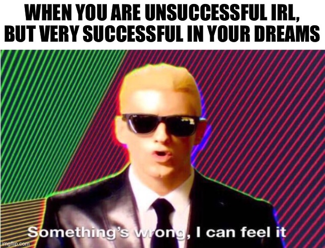 Something’s wrong | WHEN YOU ARE UNSUCCESSFUL IRL, BUT VERY SUCCESSFUL IN YOUR DREAMS | image tagged in something s wrong | made w/ Imgflip meme maker