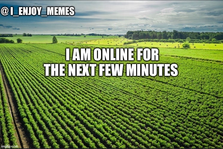 I_enjoy_memes_template | I AM ONLINE FOR THE NEXT FEW MINUTES | image tagged in i_enjoy_memes_template | made w/ Imgflip meme maker