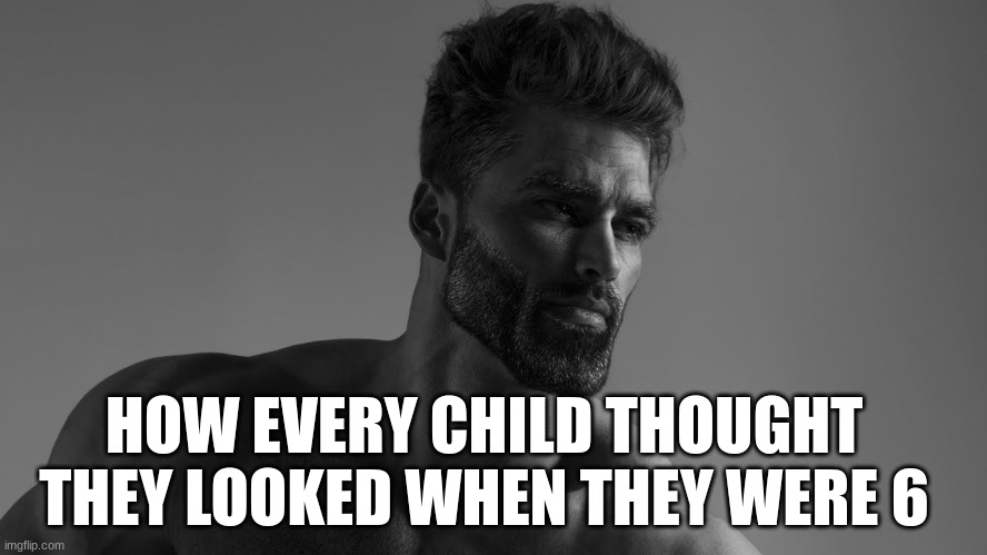 HOW EVERY CHILD THOUGHT THEY LOOKED WHEN THEY WERE 6 | image tagged in joke,memes,hehe | made w/ Imgflip meme maker