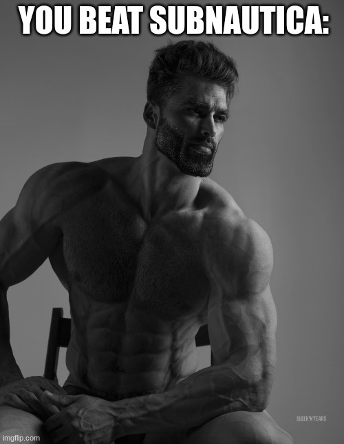 Giga Chad | YOU BEAT SUBNAUTICA: | image tagged in giga chad | made w/ Imgflip meme maker