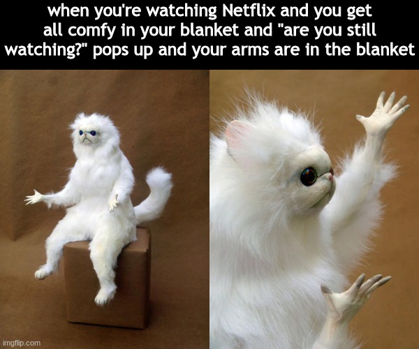 noooooooooooooooooooooooooooooooooooooooooooooooooooooooooooooooooooooooooooooooooooooooooooooooooooooooooooooooooooooooooooo! | when you're watching Netflix and you get all comfy in your blanket and "are you still watching?" pops up and your arms are in the blanket | image tagged in memes,persian cat room guardian | made w/ Imgflip meme maker