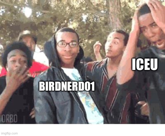 OOOOHHHH!!!! | BIRDNERD01 ICEU | image tagged in oooohhhh | made w/ Imgflip meme maker