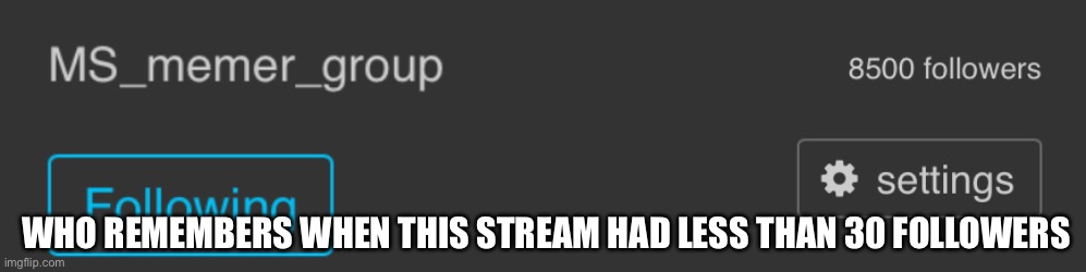 before the alt raids lmao | WHO REMEMBERS WHEN THIS STREAM HAD LESS THAN 30 FOLLOWERS | made w/ Imgflip meme maker