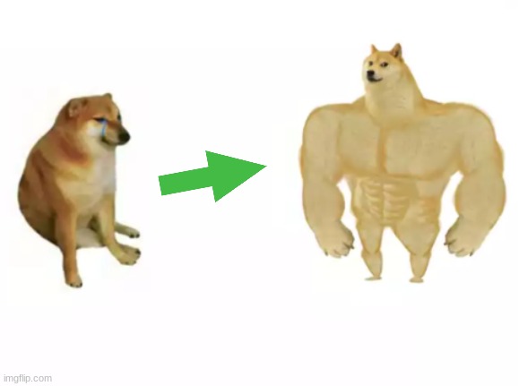 buff doge vs cheems reversed | image tagged in buff doge vs cheems reversed | made w/ Imgflip meme maker