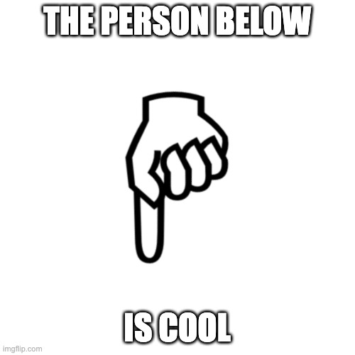 be mean to the person below | THE PERSON BELOW IS COOL | image tagged in be mean to the person below | made w/ Imgflip meme maker
