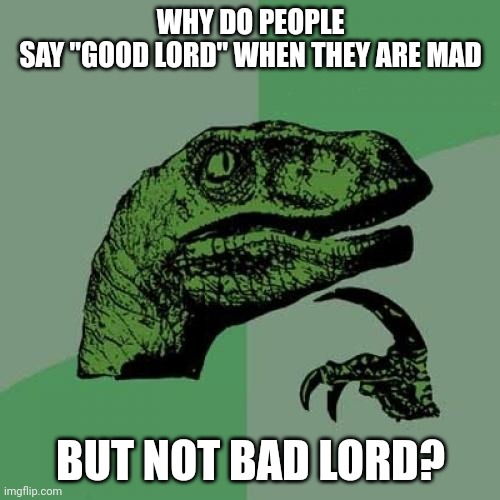 Really! | WHY DO PEOPLE
 SAY "GOOD LORD" WHEN THEY ARE MAD; BUT NOT BAD LORD? | image tagged in memes,philosoraptor | made w/ Imgflip meme maker