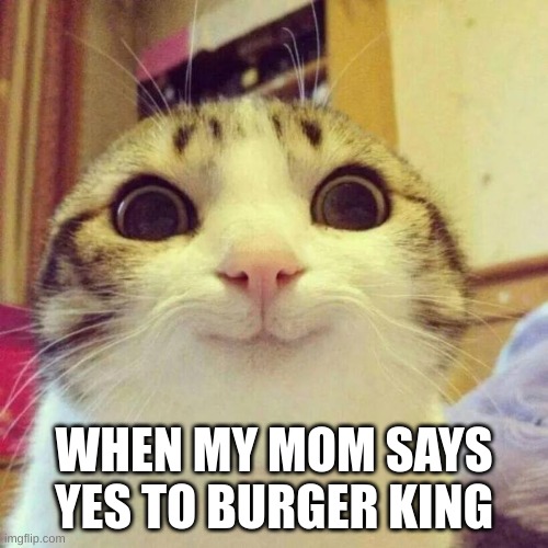 MOM SAYS YES TO BURGER KING | WHEN MY MOM SAYS YES TO BURGER KING | image tagged in memes,smiling cat | made w/ Imgflip meme maker
