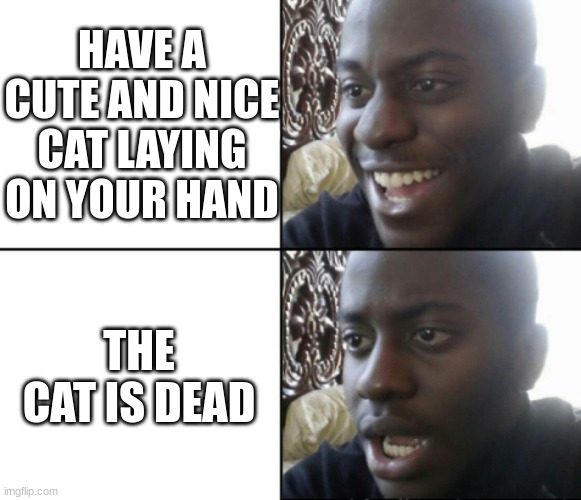 Happy / Shock | HAVE A CUTE AND NICE CAT LAYING ON YOUR HAND THE CAT IS DEAD | image tagged in happy / shock | made w/ Imgflip meme maker
