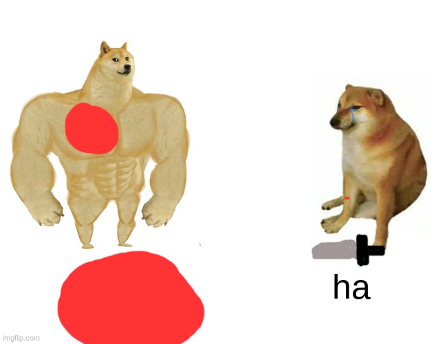 Buff Doge vs. Cheems | ha | image tagged in memes,buff doge vs cheems | made w/ Imgflip meme maker