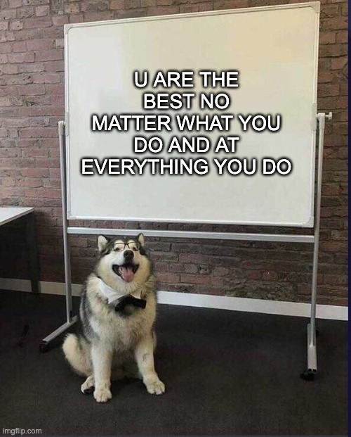 Have a good day | U ARE THE BEST NO MATTER WHAT YOU DO AND AT EVERYTHING YOU DO | image tagged in whiteboard husky | made w/ Imgflip meme maker