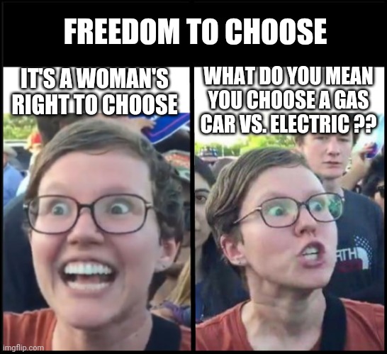 Decisions, decisions | FREEDOM TO CHOOSE; WHAT DO YOU MEAN YOU CHOOSE A GAS CAR VS. ELECTRIC ?? IT'S A WOMAN'S RIGHT TO CHOOSE | image tagged in when liberal woman hears,leftists,liberals,democrats,green | made w/ Imgflip meme maker