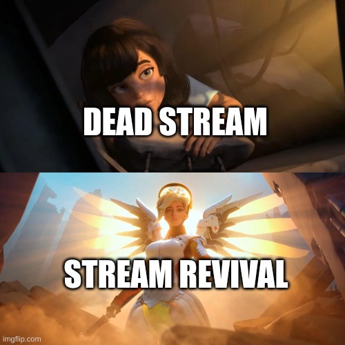 We should give roles to people to revive stream | DEAD STREAM; STREAM REVIVAL | image tagged in savior mercy | made w/ Imgflip meme maker