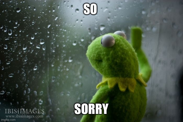 kermit window | SO SORRY | image tagged in kermit window | made w/ Imgflip meme maker