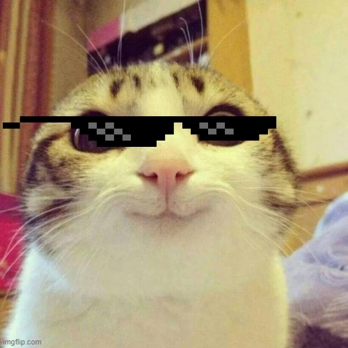 image tagged in memes,smiling cat | made w/ Imgflip meme maker