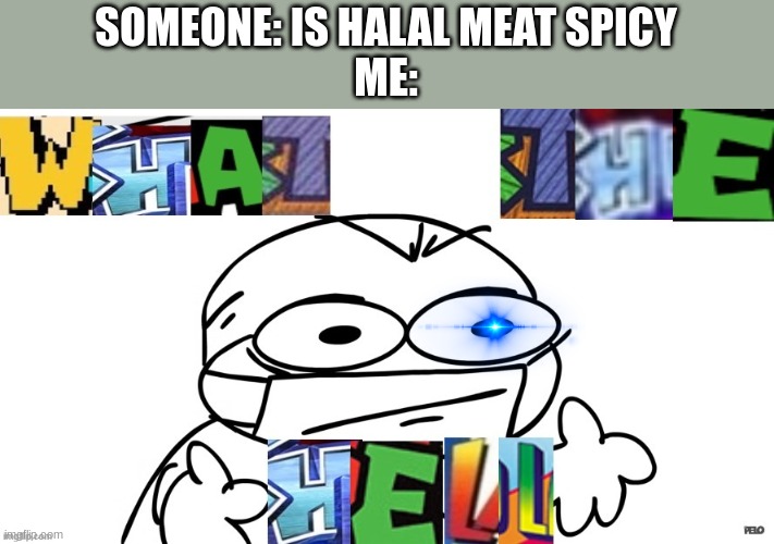 bro | SOMEONE: IS HALAL MEAT SPICY
ME: | image tagged in sr pelo doctor what the hell | made w/ Imgflip meme maker