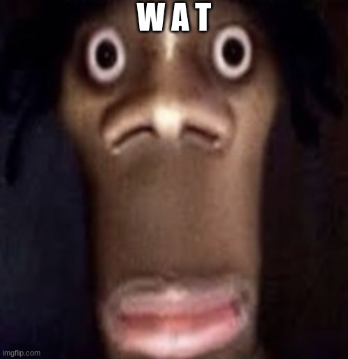 Quandale dingle | W A T | image tagged in quandale dingle | made w/ Imgflip meme maker