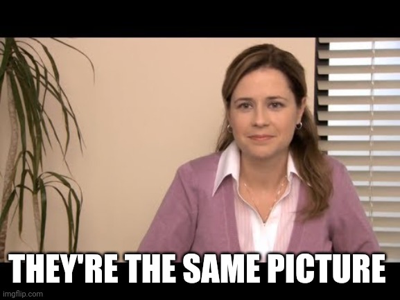 They're the same picture | THEY'RE THE SAME PICTURE | image tagged in they're the same picture | made w/ Imgflip meme maker