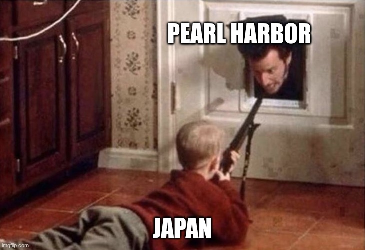 home alone gun harry | PEARL HARBOR; JAPAN | image tagged in home alone gun harry | made w/ Imgflip meme maker