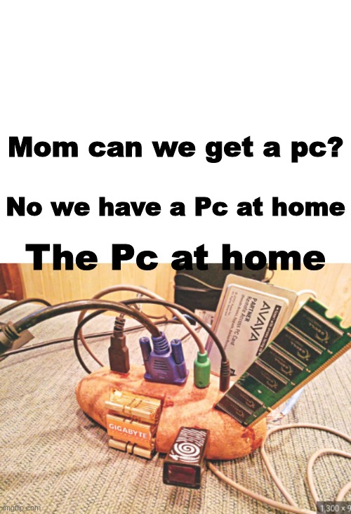 Potato Pc | Mom can we get a pc? No we have a Pc at home; The Pc at home | image tagged in funny,memes,meme | made w/ Imgflip meme maker