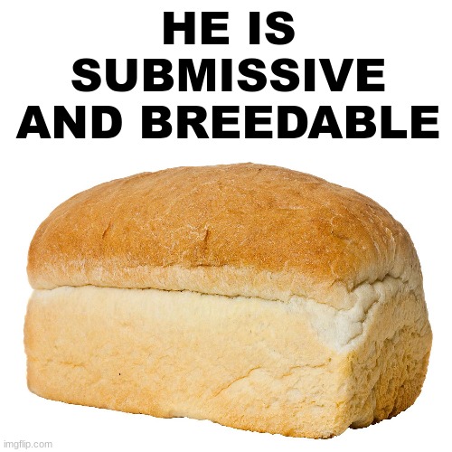 if you add a mod note your gae | HE IS SUBMISSIVE AND BREEDABLE | made w/ Imgflip meme maker