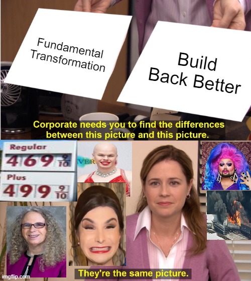 They're The Same Picture Meme | Fundamental Transformation; Build Back Better | image tagged in memes,they're the same picture | made w/ Imgflip meme maker