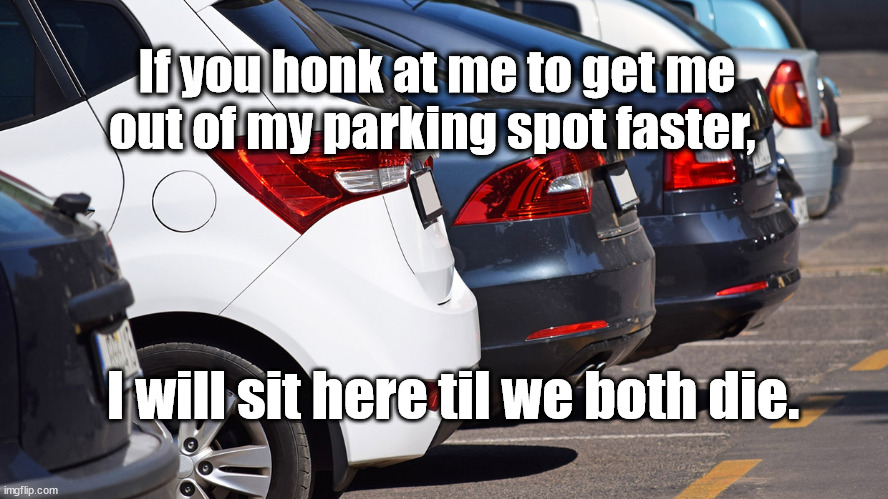 don't honk at me, man | If you honk at me to get me out of my parking spot faster, I will sit here til we both die. | image tagged in parking lot | made w/ Imgflip meme maker