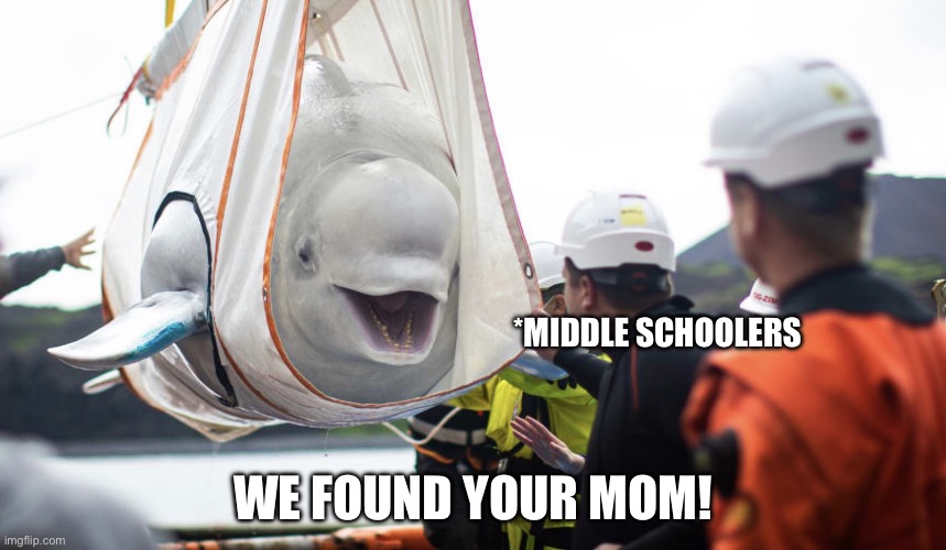 Yo mama jokes be like | *MIDDLE SCHOOLERS; WE FOUND YOUR MOM! | image tagged in whale whale whale what do we have here | made w/ Imgflip meme maker