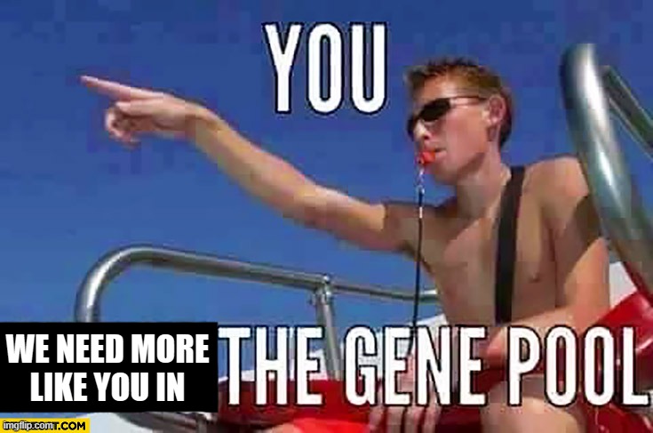 You, out of the gene pool | WE NEED MORE LIKE YOU IN | image tagged in you out of the gene pool | made w/ Imgflip meme maker