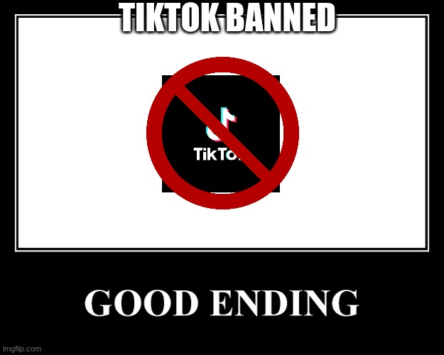 The Good Ending | TIKTOK BANNED | image tagged in the good ending | made w/ Imgflip meme maker